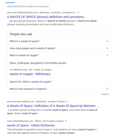 Figure 1.1: Google’s SERP for the query “waste of space.”